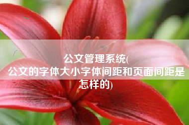 公文管理系统(
公文的字体大小字体间距和页面间距是怎样的) 公文管理系统(
公文的字体大小字体间距和页面间距是怎样的)