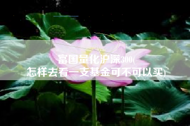 富国量化沪深300(
怎样去看一支基金可不可以买) 富国量化沪深300(
怎样去看一支基金可不可以买)