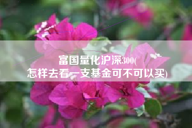 富国量化沪深300(
怎样去看一支基金可不可以买) 富国量化沪深300(
怎样去看一支基金可不可以买)