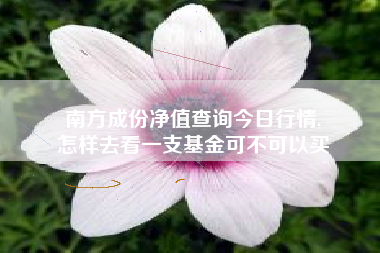 南方成份净值查询今日行情,
怎样去看一支基金可不可以买 南方成份净值查询今日行情,
怎样去看一支基金可不可以买