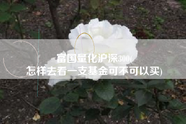 富国量化沪深300(
怎样去看一支基金可不可以买) 富国量化沪深300(
怎样去看一支基金可不可以买)