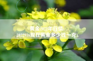 黄金2022年行情(
2022916现在黄金多少钱一克) 黄金2022年行情(
2022916现在黄金多少钱一克)