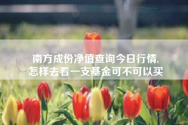 南方成份净值查询今日行情,
怎样去看一支基金可不可以买 南方成份净值查询今日行情,
怎样去看一支基金可不可以买