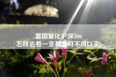 富国量化沪深300(
怎样去看一支基金可不可以买) 富国量化沪深300(
怎样去看一支基金可不可以买)