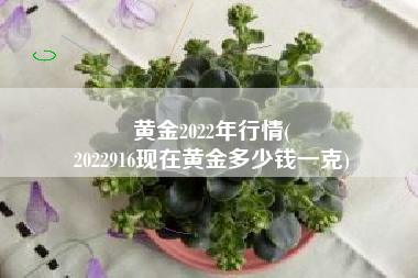 黄金2022年行情(
2022916现在黄金多少钱一克) 黄金2022年行情(
2022916现在黄金多少钱一克)