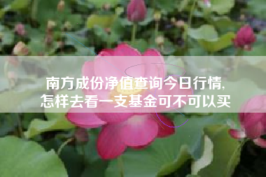 南方成份净值查询今日行情,
怎样去看一支基金可不可以买 南方成份净值查询今日行情,
怎样去看一支基金可不可以买