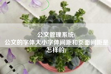 公文管理系统(
公文的字体大小字体间距和页面间距是怎样的) 公文管理系统(
公文的字体大小字体间距和页面间距是怎样的)