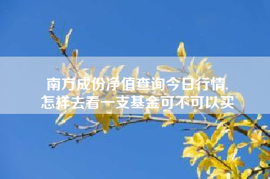 南方成份净值查询今日行情,
怎样去看一支基金可不可以买 南方成份净值查询今日行情,
怎样去看一支基金可不可以买