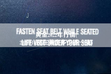 黄金2022年行情(
2022916现在黄金多少钱一克) 黄金2022年行情(
2022916现在黄金多少钱一克)