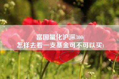 富国量化沪深300(
怎样去看一支基金可不可以买) 富国量化沪深300(
怎样去看一支基金可不可以买)