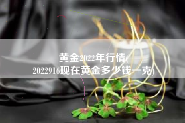 黄金2022年行情(
2022916现在黄金多少钱一克) 黄金2022年行情(
2022916现在黄金多少钱一克)