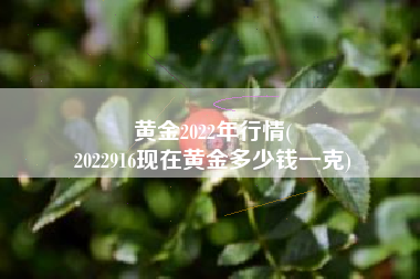 黄金2022年行情(
2022916现在黄金多少钱一克) 黄金2022年行情(
2022916现在黄金多少钱一克)