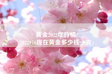 黄金2022年行情(
2022916现在黄金多少钱一克) 黄金2022年行情(
2022916现在黄金多少钱一克)