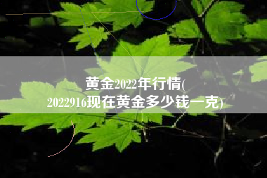 黄金2022年行情(
2022916现在黄金多少钱一克) 黄金2022年行情(
2022916现在黄金多少钱一克)