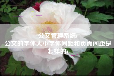 公文管理系统(
公文的字体大小字体间距和页面间距是怎样的) 公文管理系统(
公文的字体大小字体间距和页面间距是怎样的)