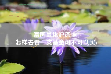 富国量化沪深300(
怎样去看一支基金可不可以买) 富国量化沪深300(
怎样去看一支基金可不可以买)