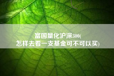 富国量化沪深300(
怎样去看一支基金可不可以买) 富国量化沪深300(
怎样去看一支基金可不可以买)