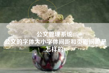 公文管理系统(
公文的字体大小字体间距和页面间距是怎样的) 公文管理系统(
公文的字体大小字体间距和页面间距是怎样的)
