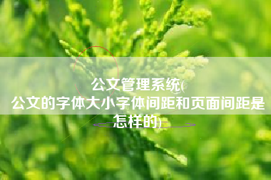 公文管理系统(
公文的字体大小字体间距和页面间距是怎样的) 公文管理系统(
公文的字体大小字体间距和页面间距是怎样的)