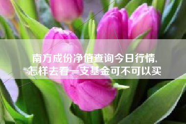 南方成份净值查询今日行情,
怎样去看一支基金可不可以买 南方成份净值查询今日行情,
怎样去看一支基金可不可以买