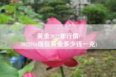 黄金2022年行情(
2022916现在黄金多少钱一克) 黄金2022年行情(
2022916现在黄金多少钱一克)