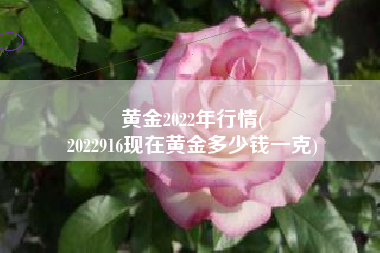 黄金2022年行情(
2022916现在黄金多少钱一克) 黄金2022年行情(
2022916现在黄金多少钱一克)