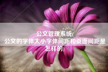 公文管理系统(
公文的字体大小字体间距和页面间距是怎样的) 公文管理系统(
公文的字体大小字体间距和页面间距是怎样的)