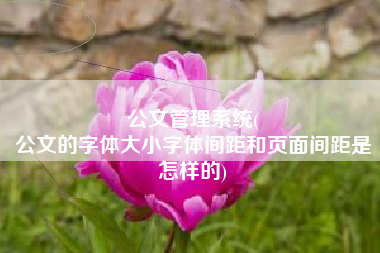 公文管理系统(
公文的字体大小字体间距和页面间距是怎样的) 公文管理系统(
公文的字体大小字体间距和页面间距是怎样的)
