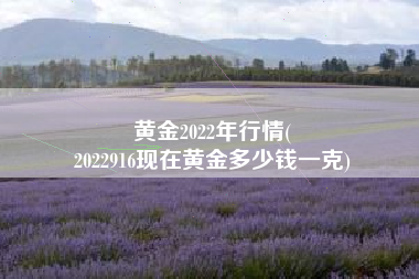 黄金2022年行情(
2022916现在黄金多少钱一克) 黄金2022年行情(
2022916现在黄金多少钱一克)
