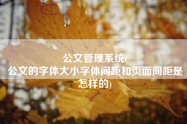 公文管理系统(
公文的字体大小字体间距和页面间距是怎样的) 公文管理系统(
公文的字体大小字体间距和页面间距是怎样的)