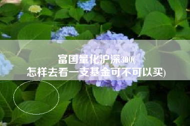 富国量化沪深300(
怎样去看一支基金可不可以买) 富国量化沪深300(
怎样去看一支基金可不可以买)