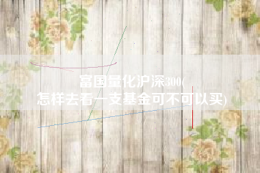 富国量化沪深300(
怎样去看一支基金可不可以买) 富国量化沪深300(
怎样去看一支基金可不可以买)