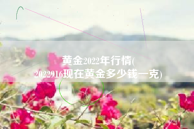 黄金2022年行情(
2022916现在黄金多少钱一克) 黄金2022年行情(
2022916现在黄金多少钱一克)