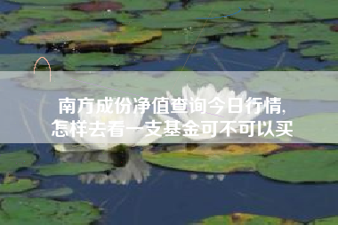 南方成份净值查询今日行情,
怎样去看一支基金可不可以买 南方成份净值查询今日行情,
怎样去看一支基金可不可以买