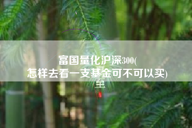 富国量化沪深300(
怎样去看一支基金可不可以买) 富国量化沪深300(
怎样去看一支基金可不可以买)
