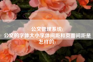 公文管理系统(
公文的字体大小字体间距和页面间距是怎样的) 公文管理系统(
公文的字体大小字体间距和页面间距是怎样的)