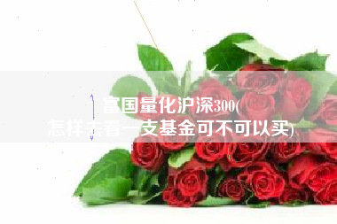 富国量化沪深300(
怎样去看一支基金可不可以买) 富国量化沪深300(
怎样去看一支基金可不可以买)