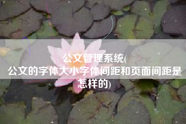公文管理系统(
公文的字体大小字体间距和页面间距是怎样的) 公文管理系统(
公文的字体大小字体间距和页面间距是怎样的)
