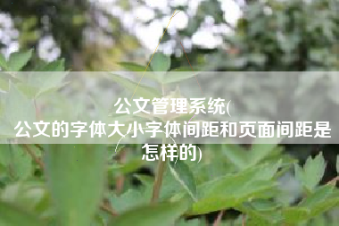 公文管理系统(
公文的字体大小字体间距和页面间距是怎样的) 公文管理系统(
公文的字体大小字体间距和页面间距是怎样的)