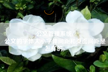 公文管理系统(
公文的字体大小字体间距和页面间距是怎样的) 公文管理系统(
公文的字体大小字体间距和页面间距是怎样的)