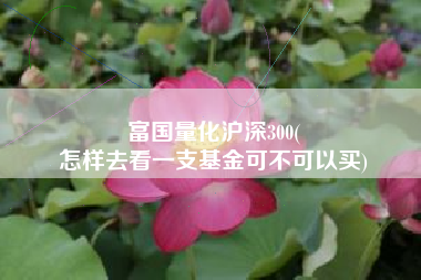 富国量化沪深300(
怎样去看一支基金可不可以买) 富国量化沪深300(
怎样去看一支基金可不可以买)