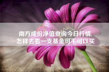 南方成份净值查询今日行情,
怎样去看一支基金可不可以买 南方成份净值查询今日行情,
怎样去看一支基金可不可以买