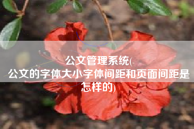 公文管理系统(
公文的字体大小字体间距和页面间距是怎样的) 公文管理系统(
公文的字体大小字体间距和页面间距是怎样的)