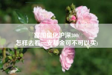 富国量化沪深300(
怎样去看一支基金可不可以买) 富国量化沪深300(
怎样去看一支基金可不可以买)