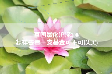 富国量化沪深300(
怎样去看一支基金可不可以买) 富国量化沪深300(
怎样去看一支基金可不可以买)