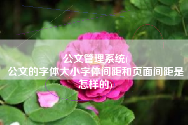 公文管理系统(
公文的字体大小字体间距和页面间距是怎样的) 公文管理系统(
公文的字体大小字体间距和页面间距是怎样的)
