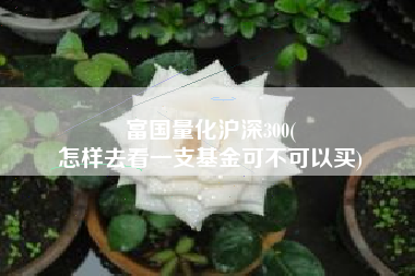 富国量化沪深300(
怎样去看一支基金可不可以买) 富国量化沪深300(
怎样去看一支基金可不可以买)