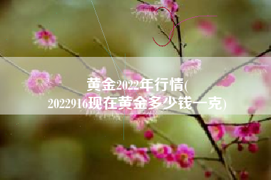 黄金2022年行情(
2022916现在黄金多少钱一克) 黄金2022年行情(
2022916现在黄金多少钱一克)
