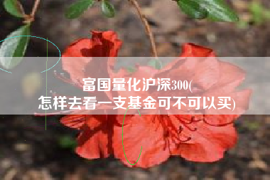 富国量化沪深300(
怎样去看一支基金可不可以买) 富国量化沪深300(
怎样去看一支基金可不可以买)