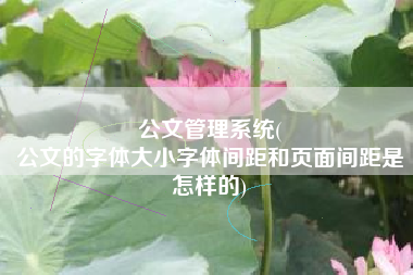 公文管理系统(
公文的字体大小字体间距和页面间距是怎样的) 公文管理系统(
公文的字体大小字体间距和页面间距是怎样的)